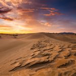 Salalah Desert Safari: The Ultimate Arabian Adventure