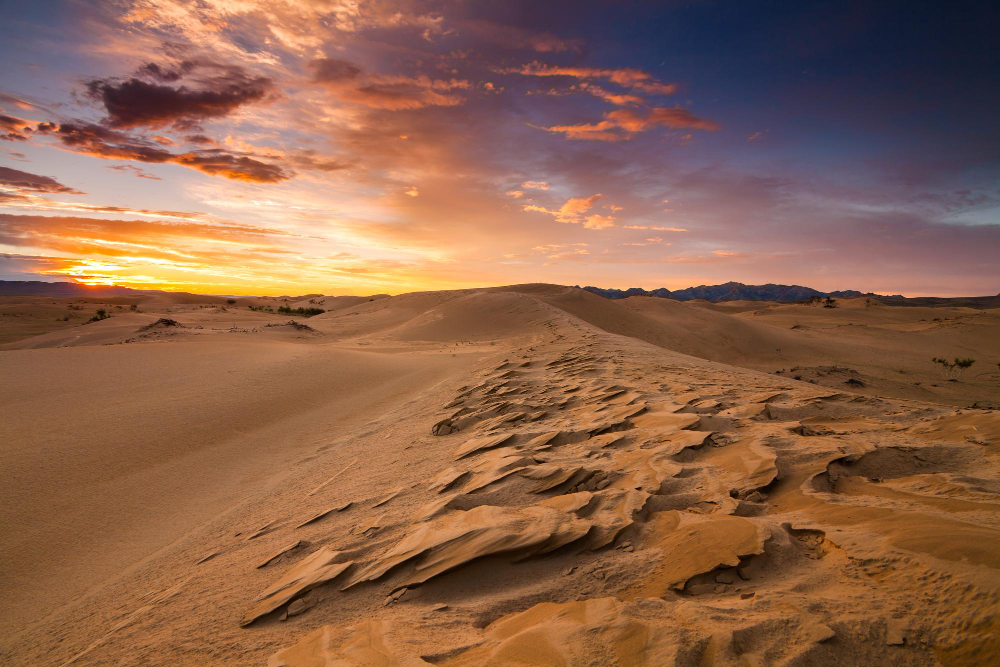 Salalah Desert Safari: The Ultimate Arabian Adventure